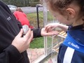 DSC01976.JPG