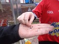 DSC01982.JPG