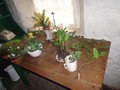 DSC01850.JPG