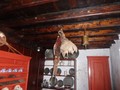 DSC01862.JPG