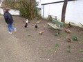 DSC01869.JPG