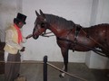 DSC01914.JPG