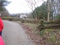DSC01926.JPG