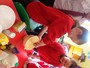 DSC01637.JPG