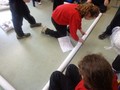 DSC01454.JPG