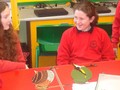 DSC01435.JPG