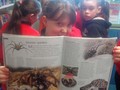 DSC01386.JPG