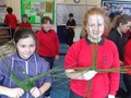 DSC01290.JPG
