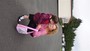 DSC05712_Small.JPG
