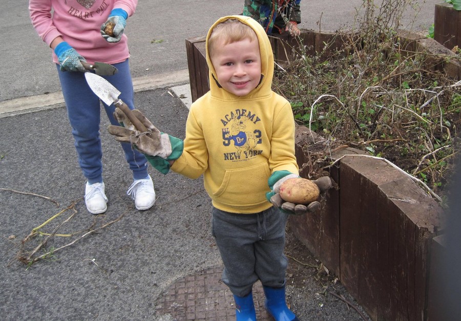 Dig It Up Day