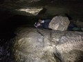 IMG_5417.JPG
