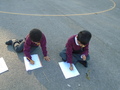 DSC00855.JPG