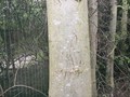 IMG_1930.JPG