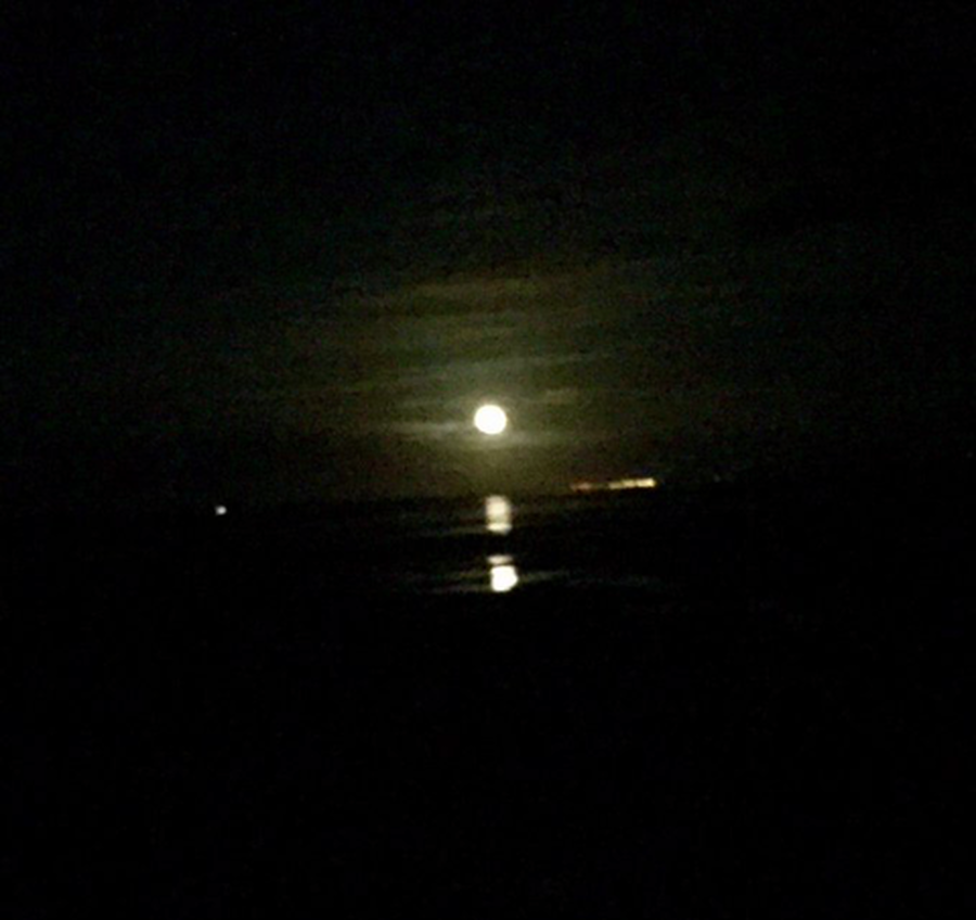 A beautiful view of the moon on our beach walk in Murlough Bay tonight.