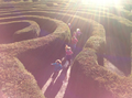 maze6.png