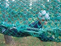 DSCN0011.JPG