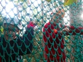 DSCN0010.JPG