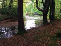 IMG_1799.JPG