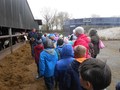 DSCN6007.JPG