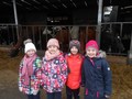 DSCN6011.JPG