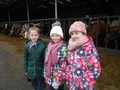 DSCN6012.JPG