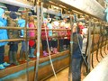 DSCN6018.JPG