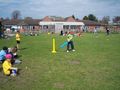 Cricket__Wydle_Green_038.jpg