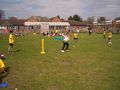 Cricket__Wydle_Green_041.jpg