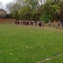 IMG_0500.JPG