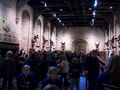 Harry_Potter_World_039.jpg