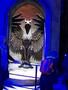 Harry_Potter_World_054.jpg