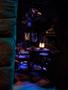 Harry_Potter_World_068.jpg