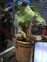 Harry_Potter_World_103.jpg