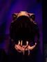 Harry_Potter_World_111.jpg