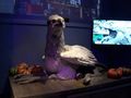 Harry_Potter_World_113.jpg