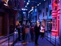Harry_Potter_World_126.jpg