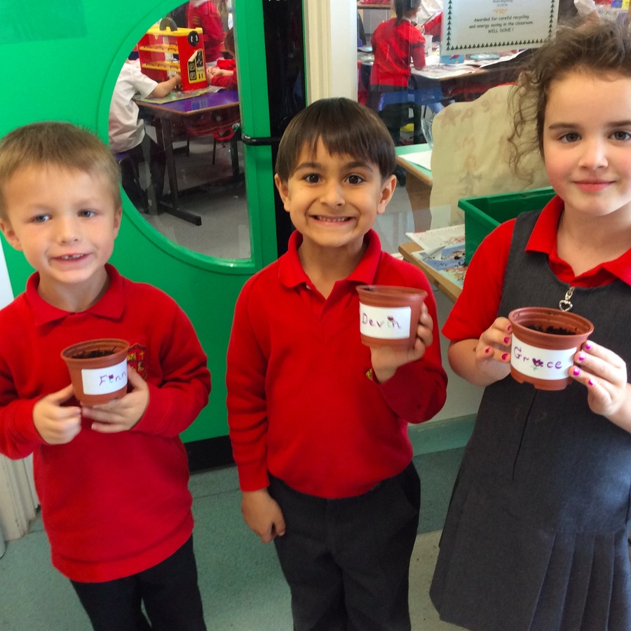 P.2 pupils are delighted with their crocuses