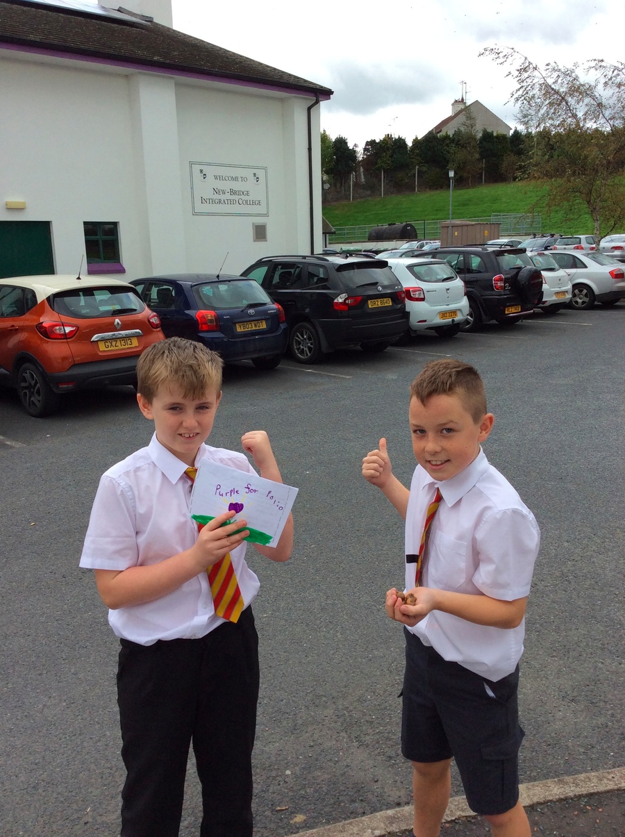 Lewis and Daniel bring some crocus corms to Newbridge College