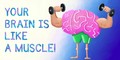 brainmuscle.jpg