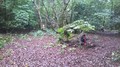 WP_20160927_020.jpg