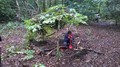 WP_20160927_019.jpg
