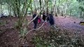 WP_20160927_002.jpg
