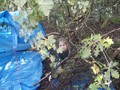 DSCF6701.JPG