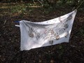 DSCF6700.JPG