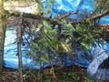 DSCF6698.JPG