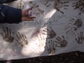 DSCF6682.JPG