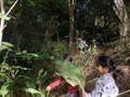 DSCF6641.JPG