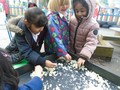 DSC03698.JPG