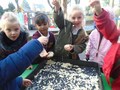 DSC03705.JPG