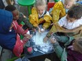 DSC03729.JPG